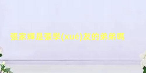 張家輝是張學(xué)友的弟弟嗎？張學(xué)友和張家輝是親兄弟